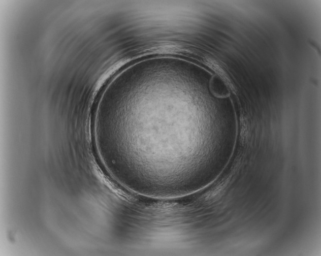 X0000100780939200806261626