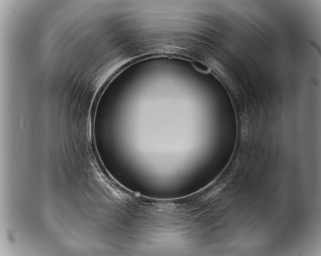 X0000100780940200806261626