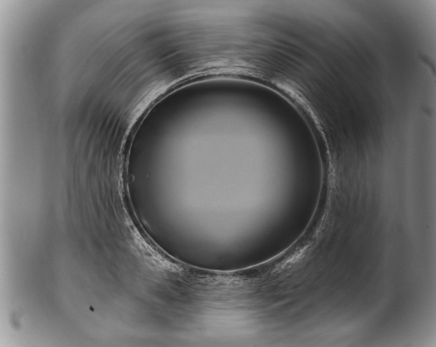 X0000100780941200806261626