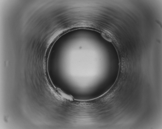 X0000100780942200806261626