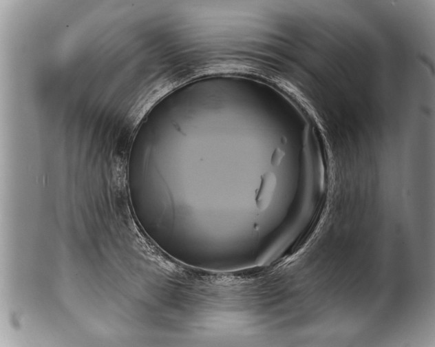 X0000100780945200806261626