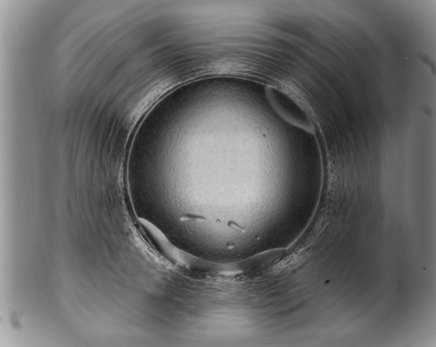 X0000100780946200806261626