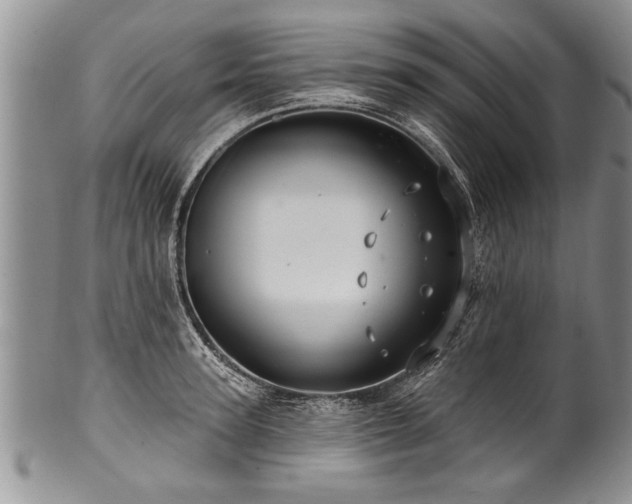 X0000100780947200806261626