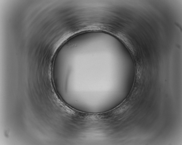 X0000100780950200806261626