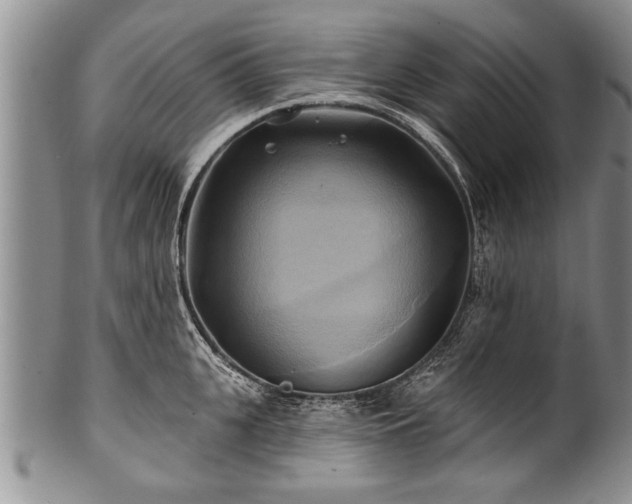 X0000100780951200806261626