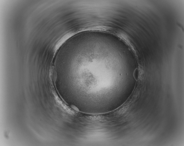 X0000100780952200806261626