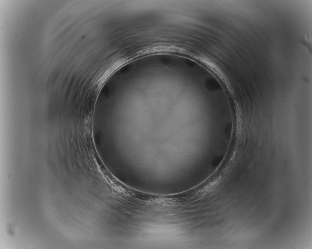 X0000100780953200806261626