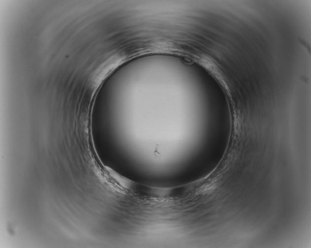 X0000100780954200806261626