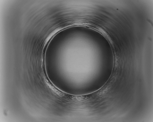 X0000100780955200806261626