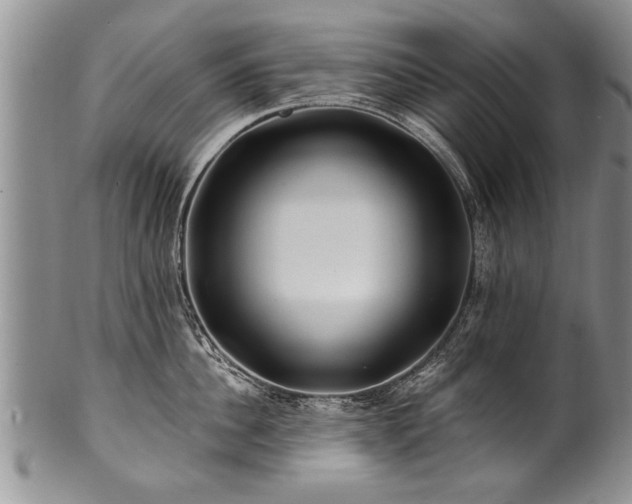 X0000100780956200806261626