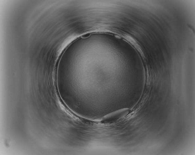 X0000100780958200806261626