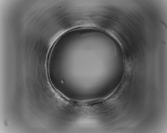 X0000100780959200806261626