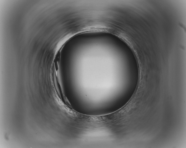 X0000100780960200806261626