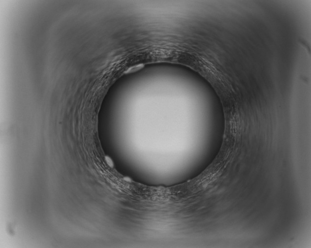 X0000100780961200806261625