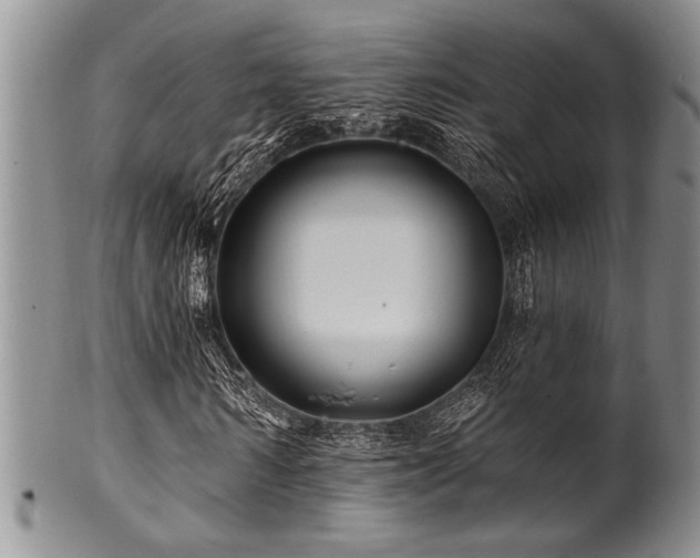 X0000100780962200806261625