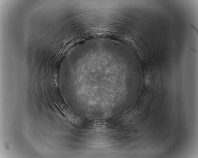 X0000100780964200806261625