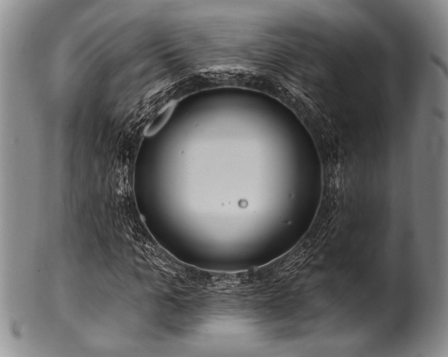 X0000100780965200806261625