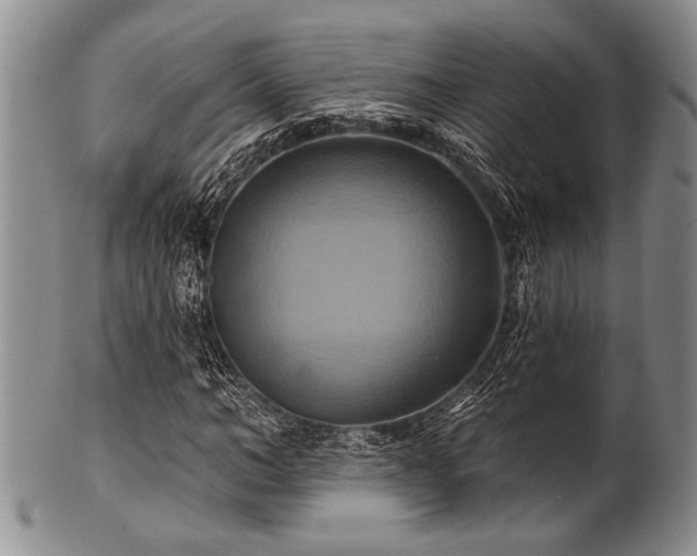 X0000100780966200806261625