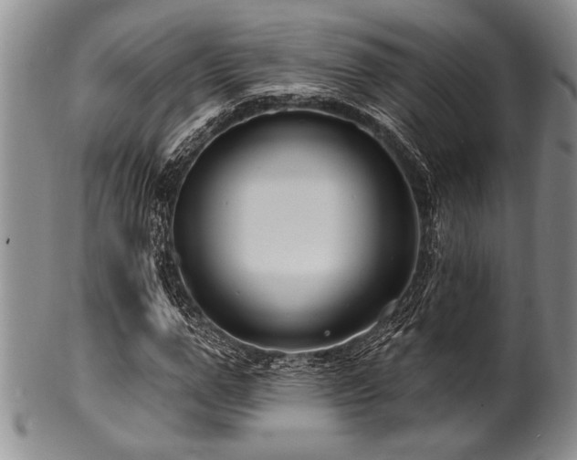 X0000100780967200806261625