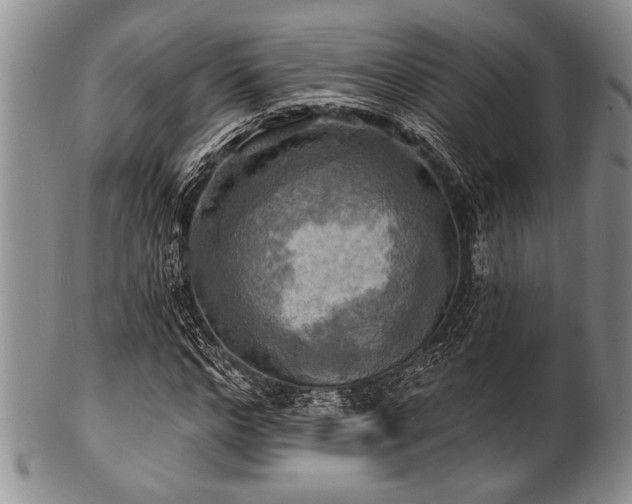 X0000100780968200806261625