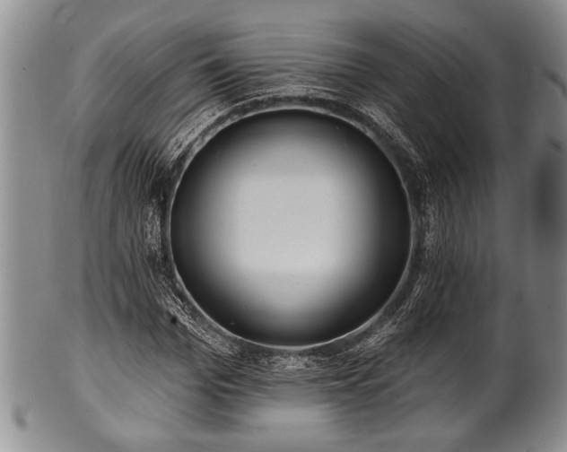 X0000100780969200806261625