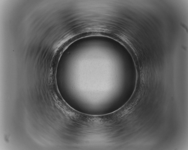 X0000100780971200806261625