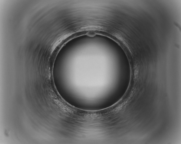 X0000100780973200806261625