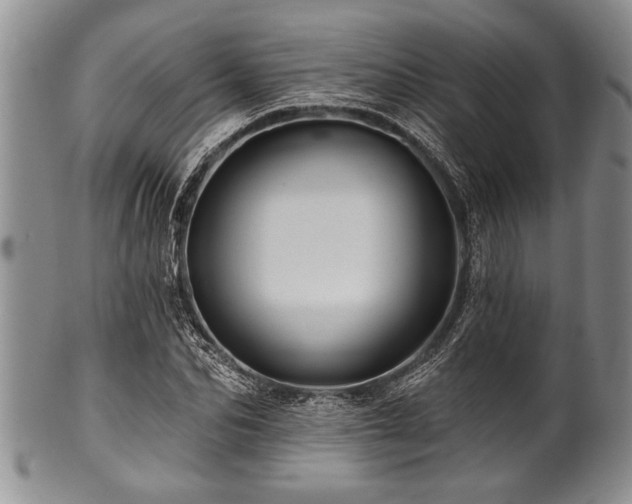 X0000100780974200806261625