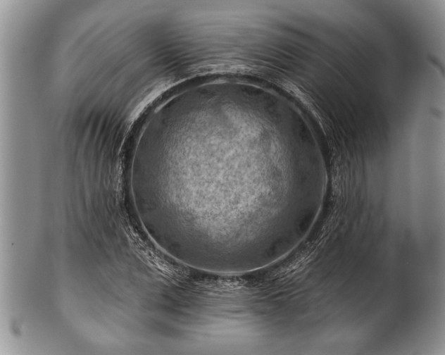 X0000100780975200806261625