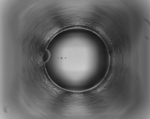 X0000100780977200806261625