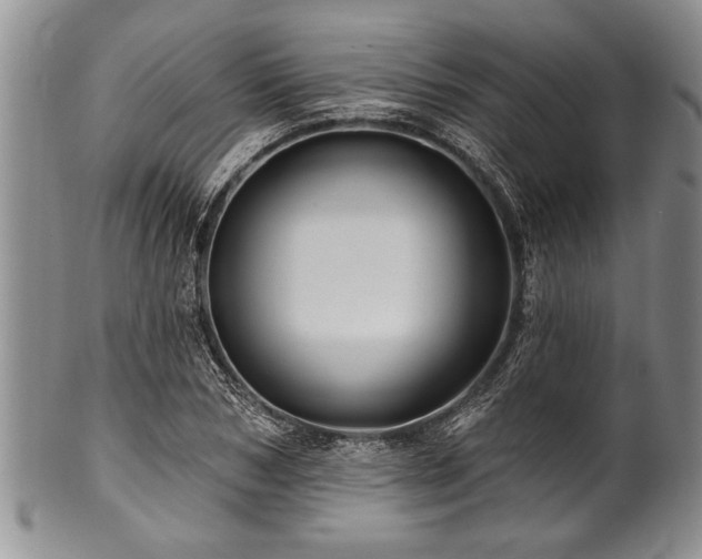 X0000100780978200806261625