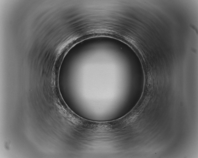 X0000100780979200806261625