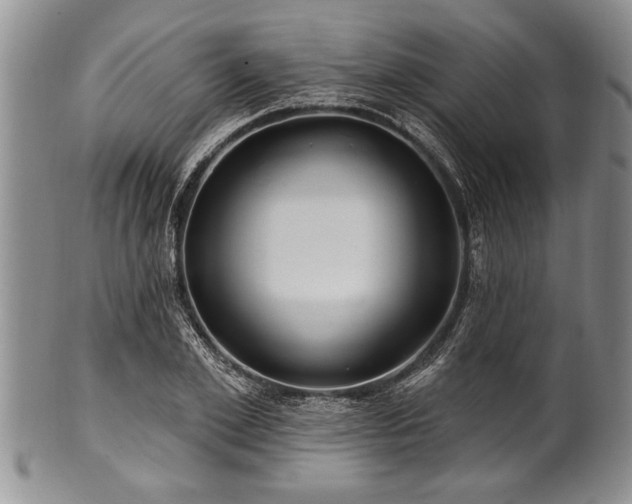 X0000100780981200806261625