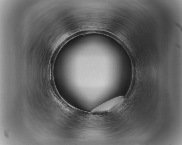 X0000100780982200806261625