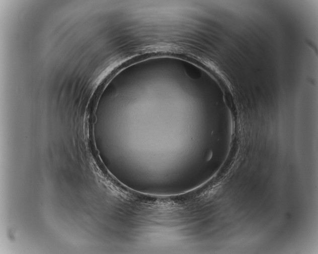 X0000100780983200806261625