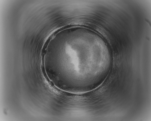 X0000100780984200806261625