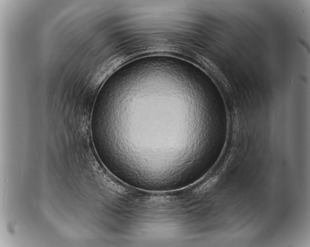 X0000100780985200806261625