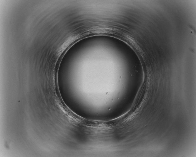 X0000100780986200806261625