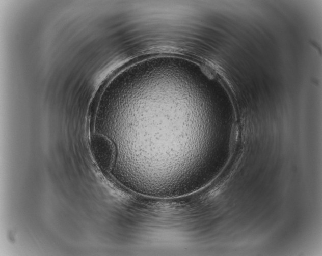 X0000100780987200806261625