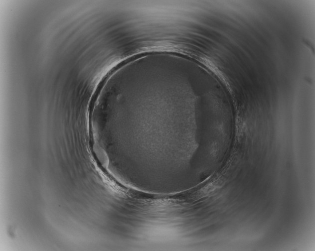 X0000100780988200806261625