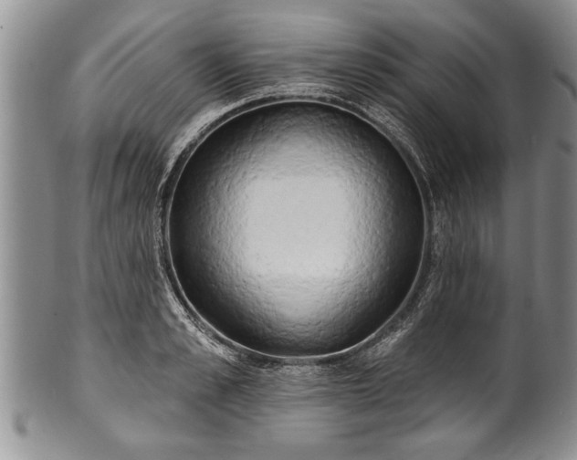 X0000100780989200806261625