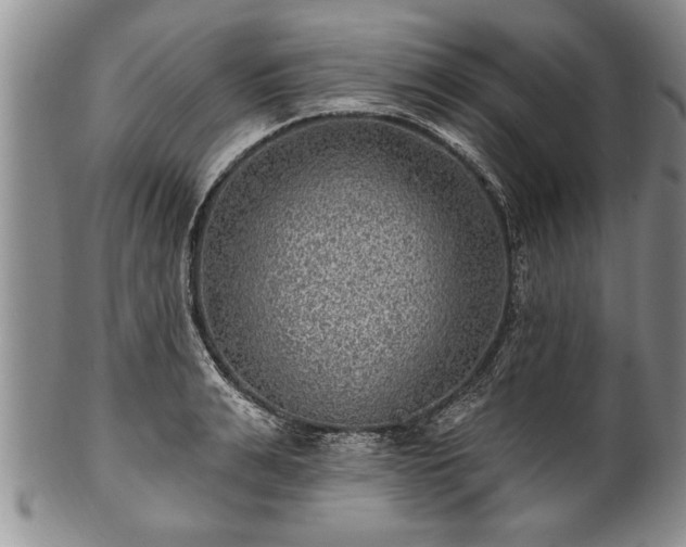 X0000100780991200806261625