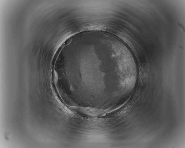 X0000100780992200806261625