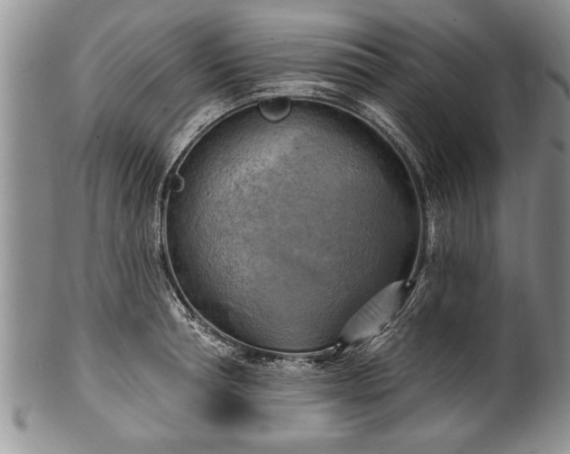 X0000100780994200806261625