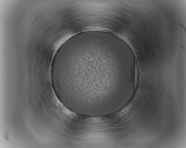 X0000100780995200806261625