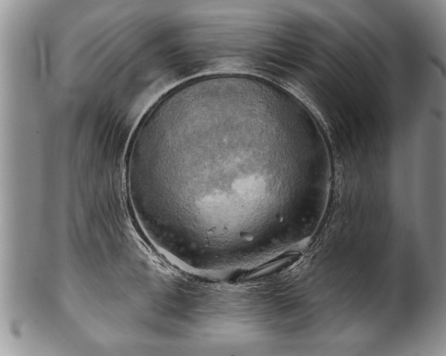 X0000100780996200806261625