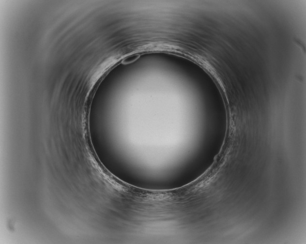 X0000100780997200806261625