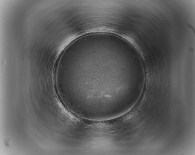 X0000100780998200806261625