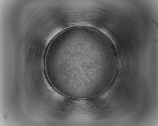 X0000100780999200806261625