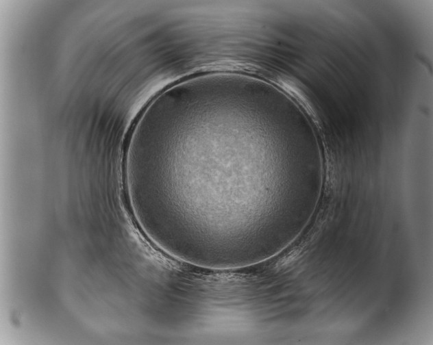 X0000100781000200806261625